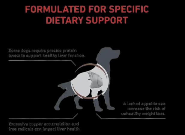 Royal Canin Dog Hepatic--2 variations