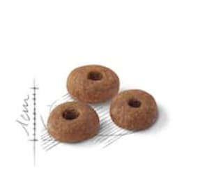 Royal Canin Fit 32--1 variations