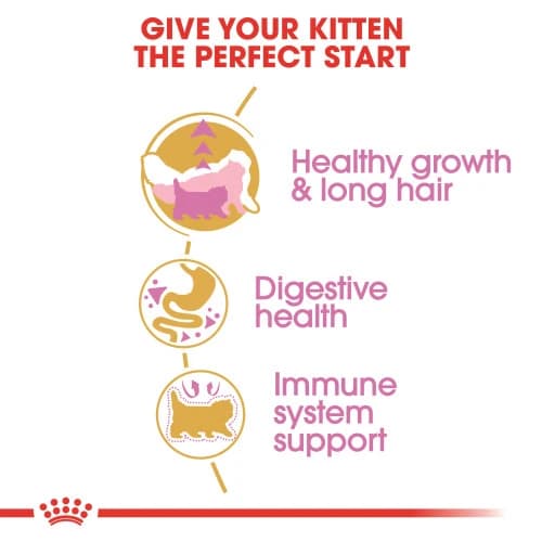 Royal Canin Persian Kitten--4 variations